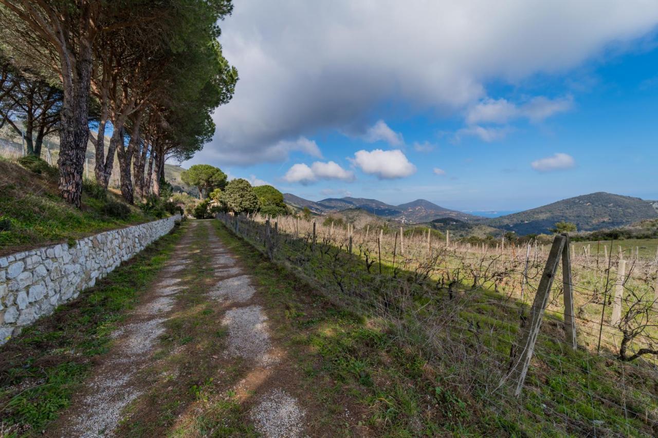 Villa Campo Al Pero Rio Marina Εξωτερικό φωτογραφία