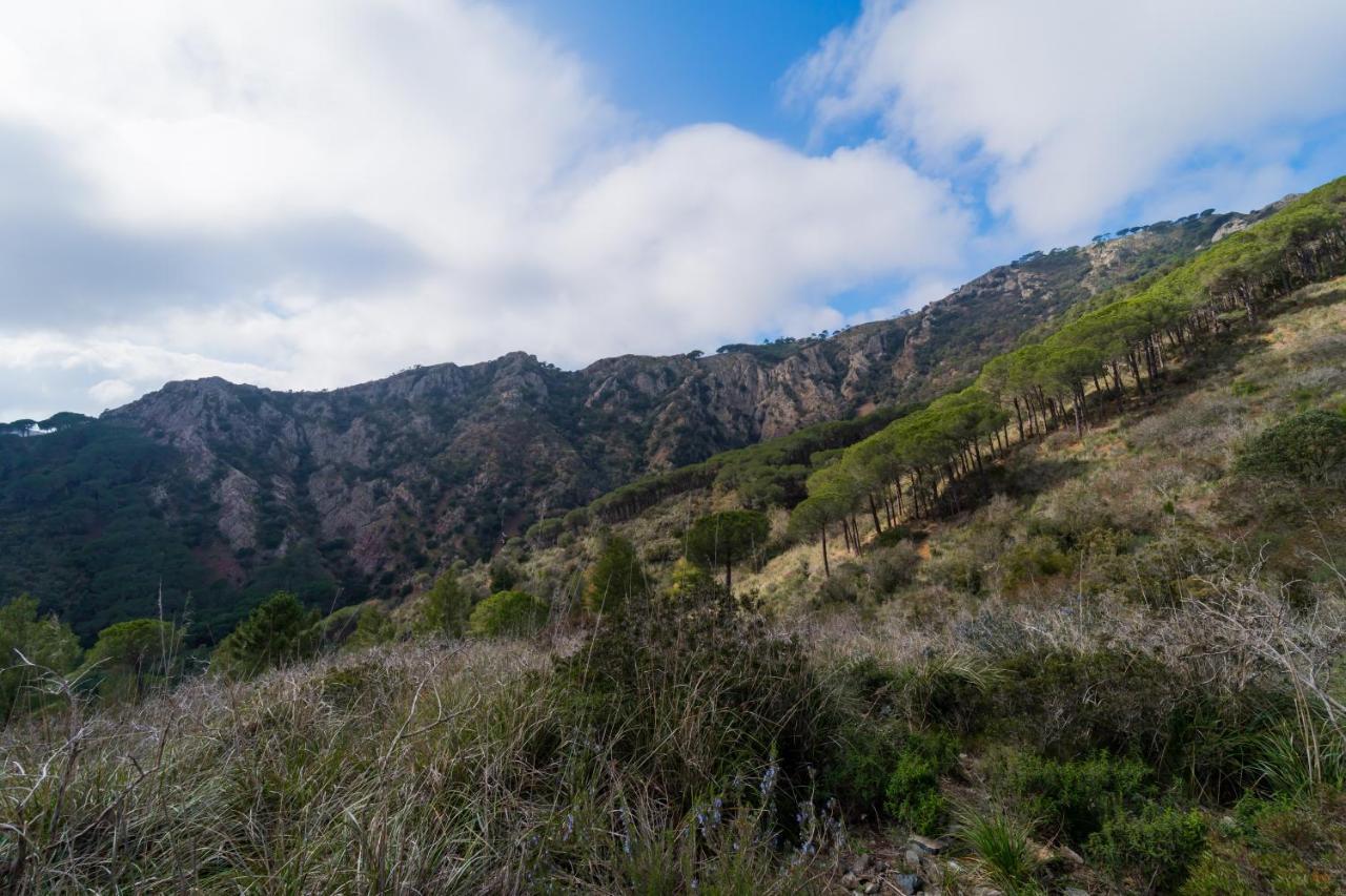 Villa Campo Al Pero Rio Marina Εξωτερικό φωτογραφία